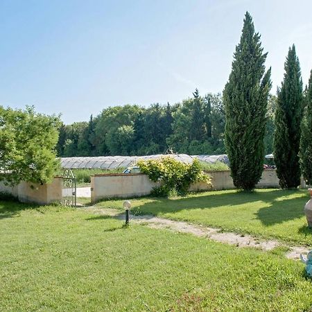 פיזה B&B Casa Betulla מראה חיצוני תמונה