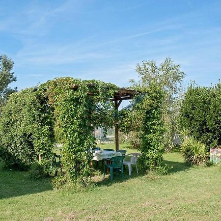 פיזה B&B Casa Betulla מראה חיצוני תמונה